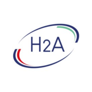 Haute Autorité de l'Audit (High Audit Authority)